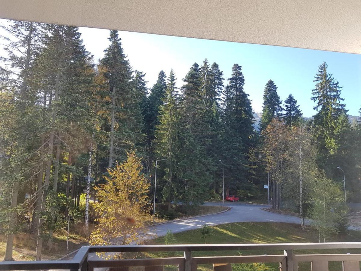 Apartments In Borovets Gardens المظهر الخارجي الصورة